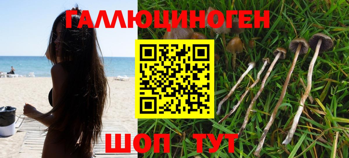 Галлюциногенные грибы Cubensis  Псилоцибиновые грибы мухоморы  Нурлат  Вход с VPN 