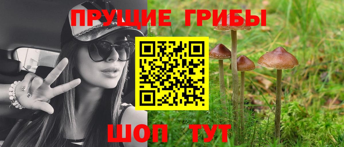 Галлюциногенные грибы GOLDEN TEACHER Нурлат